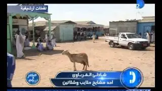 الأسباب الحقيقية لرفض أهالى حلايب وشلاتين الضم إلى أسوان