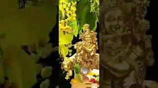 Vishu Whatsapp Status