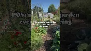 LOOK AT IT! #garden #gardening #naturalpestcontrol