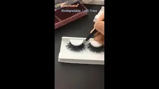 Biodegradable Lash Tray|High Quality Lashes Manufacturer Vendors Wholesale#shorts