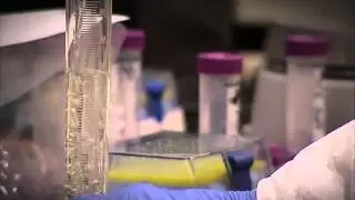 University Research Parks