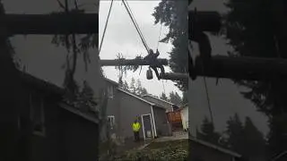 Failed Moments of Tree Cutting Arboristion #shorts #arborist #treecutting #treeremoval