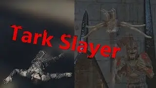 The Tark Slayer | Shadow of war