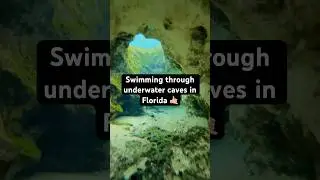 Swimming through underwater caves 😳🤯 #florida #springs #adventure