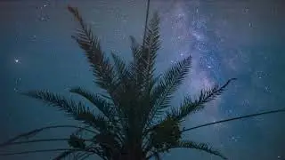 Новые дома в Форт-Майерсе | Vivid Shores | Застройщик | Pulte Homes