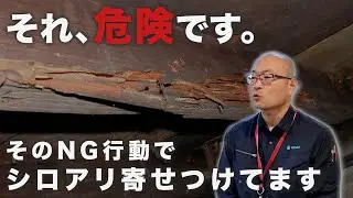 【あなたの家はどう？】こんな家はシロアリを寄せ付ける｜未然に防ぐための必須知識と対策