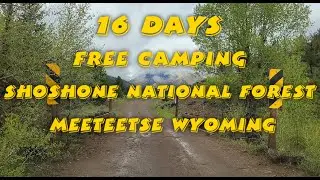 16 Day Free Camping Shoshone National Forest Meeteetse Wyoming