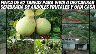 Finca de 62 Tareas con Casa y Sembrada de Árboles Frutales cerca de la Autovía a Samaná y Bayaguana