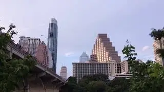 Bat watching Austin
