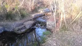 Buck Gully 02.10.2013