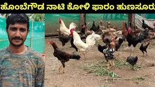 ಹುಣಸೂರ್ ಸುನಿಲ್ ಅವರಿಂದ ನಾಟಿ ಕೋಳಿ ಸಾಕಾಣಿಕೆ ಬಗ್ಗೆ ಸಂಪೂರ್ಣ ಮಾಹಿತಿ#ನಾಟಿಕೋಳಿಸಾಕಾಣಿಕೆ
