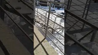 дурнана снова за крикнул Стэфа Стэфа Стэфа ааааааааааааа