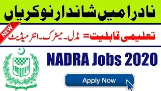 NADRA Jobs in punjab 2020&nbsp; || New latest Nadra job 2020
