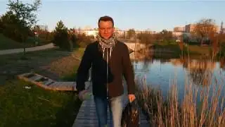 Amelung
