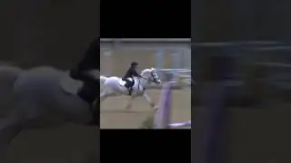 Jumping fences bigger than me! #shorts #brave #fearless #showjumping #pony #showjumper #youngrider