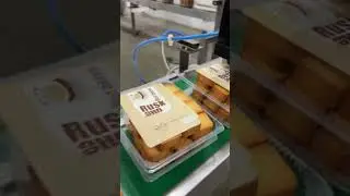 Rusk Manufacturing Business Idea &ndash; High Demand, Steady Profit