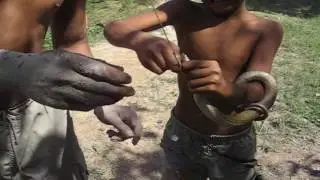 Amazing Boy Catch Biggest Snake - Catch Snake  With Hook - How to Catch Big Snake In Cambodia