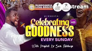 CELEBRATING HIS GOODNESS Tagged: THE PRAYER OF JABEZ