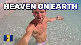 PARADISE Beach Adventure in Barbados