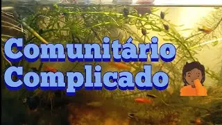 Hora de separar
