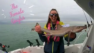 Fishing A Boatlife Social Event In The Solent #fishing #ukfishing