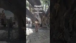 hawaii outfits 🥰 #ootd #fashion #hawaii #youtube #shortsvideo #shorts #dance #music #youtubeshorts