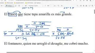 Oraciones subordinadas de relativo y de relativo libres y semilibres (2024)