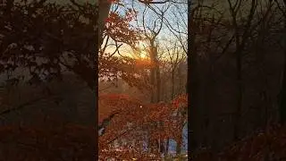 Sunset - View from a wooded hilltop #nature