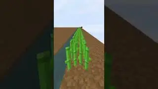 POV: You are planting sugar cane