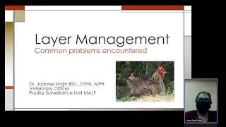 An Introduction to Layer to Layer Management - Beginner's Guide (Part 2)