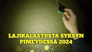 Lajikalastusta syksyn pimeydess&auml; | Kalastus 2024