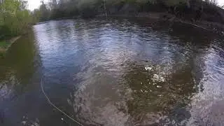 Oriskany Creek Hendrickson Hatch