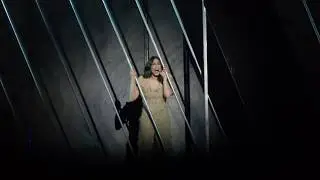 Notre dame de Paris, Où est-elle? , Les oiseaux qu'on met en cage (14/04/2018 Moscow)