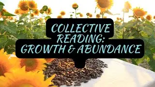 Collective reading~lots of abundance