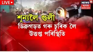 LIVE | গৰুচোৰ আৰু Dibrugarh আৰক্ষীৰ অসৎ মিতিৰালীৰ অভিযোগতে উত্তাল ডিব্ৰুগড়ৰ মাইজান।