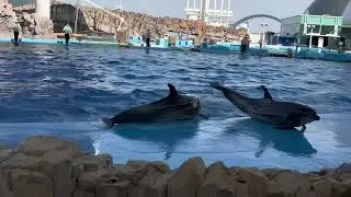 NAGOYA PORT PUBLIC AQUARIUM