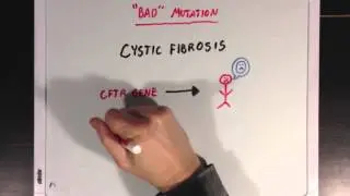 The Effects of Mutations