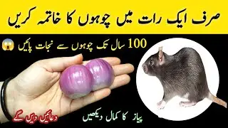 Get rid of rats for 100 years by adding just one thing 😱 Mouse Trap / chuhe bhagane ka tarika