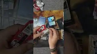 Collector Spiderman con pocos gritos