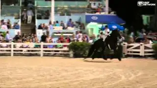 Friesian Horse Pleasure Saddle Championship at #DevonHS