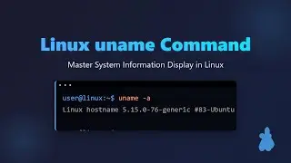 Linux System Info: Mastering the `uname` Command for Beginners