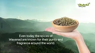Wayanad Green Fresh Black Pepper | Kerala spices online | Genuine and Indigenous