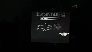 VT100 Animation ::::: Shamus The Fish