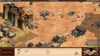 Age of Empires II - 21/01/26