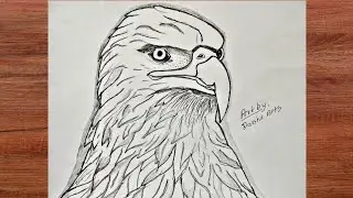 Eagle drawing | Eagle face 😈 | #pencildrawing #drawing #viral #animalart #eagles #explore