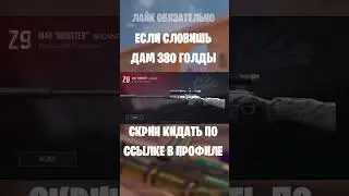 #so2 #stendoff2 #бесплатнаяголда #изиголда #standoff #изиголда #бесплатнаяголда #stendoff2 #so2