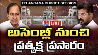 I Witnessed Revanth Reddy CHALLENGE KCR In Budget Session-95News
