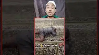 Maulana Sahab ka hath Dekho😱shorts#short #islam#islamic#quran#muhammadﷺ#trending