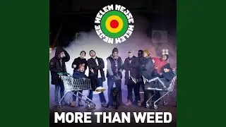 More Than Weed