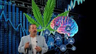 Election year market trends starting november 5th 2019